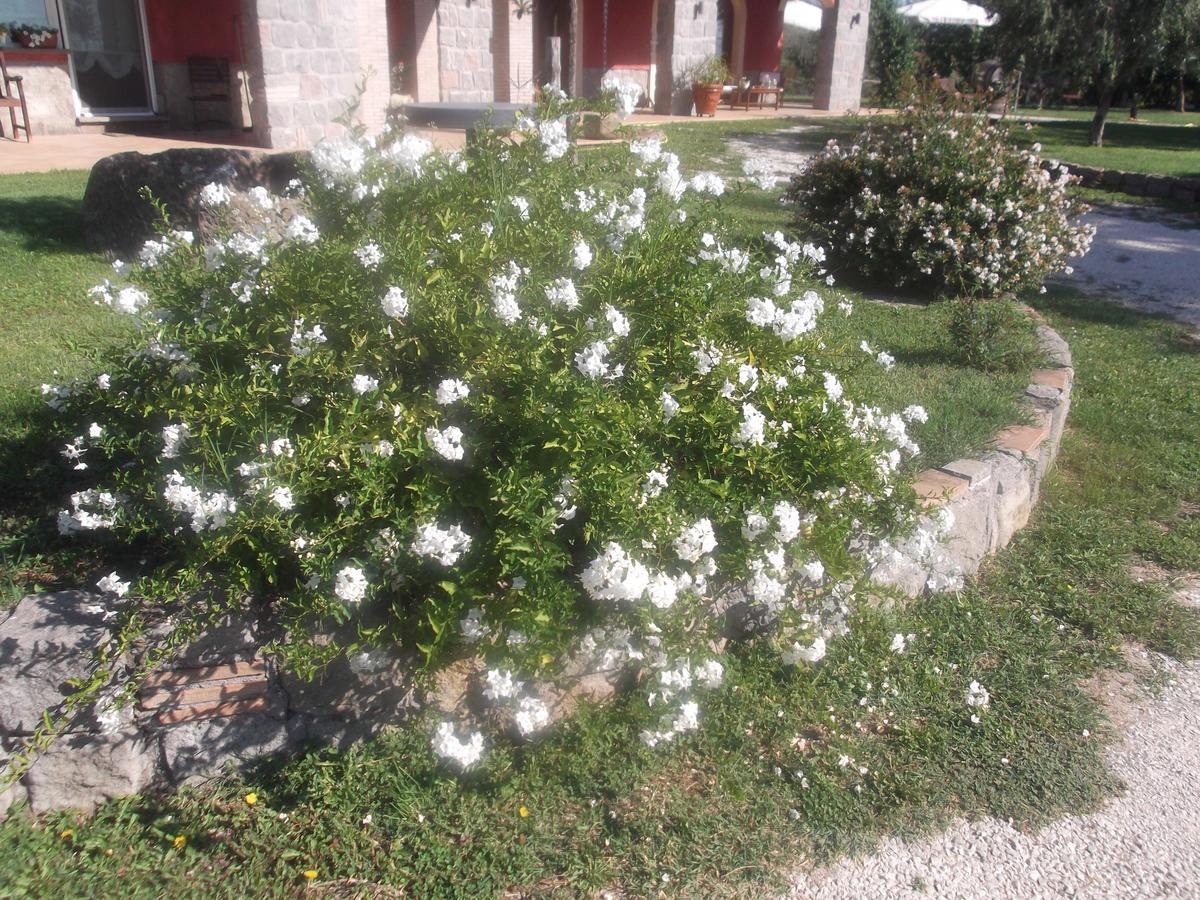 Agriturismo Casal Grande Canepina Exterior foto