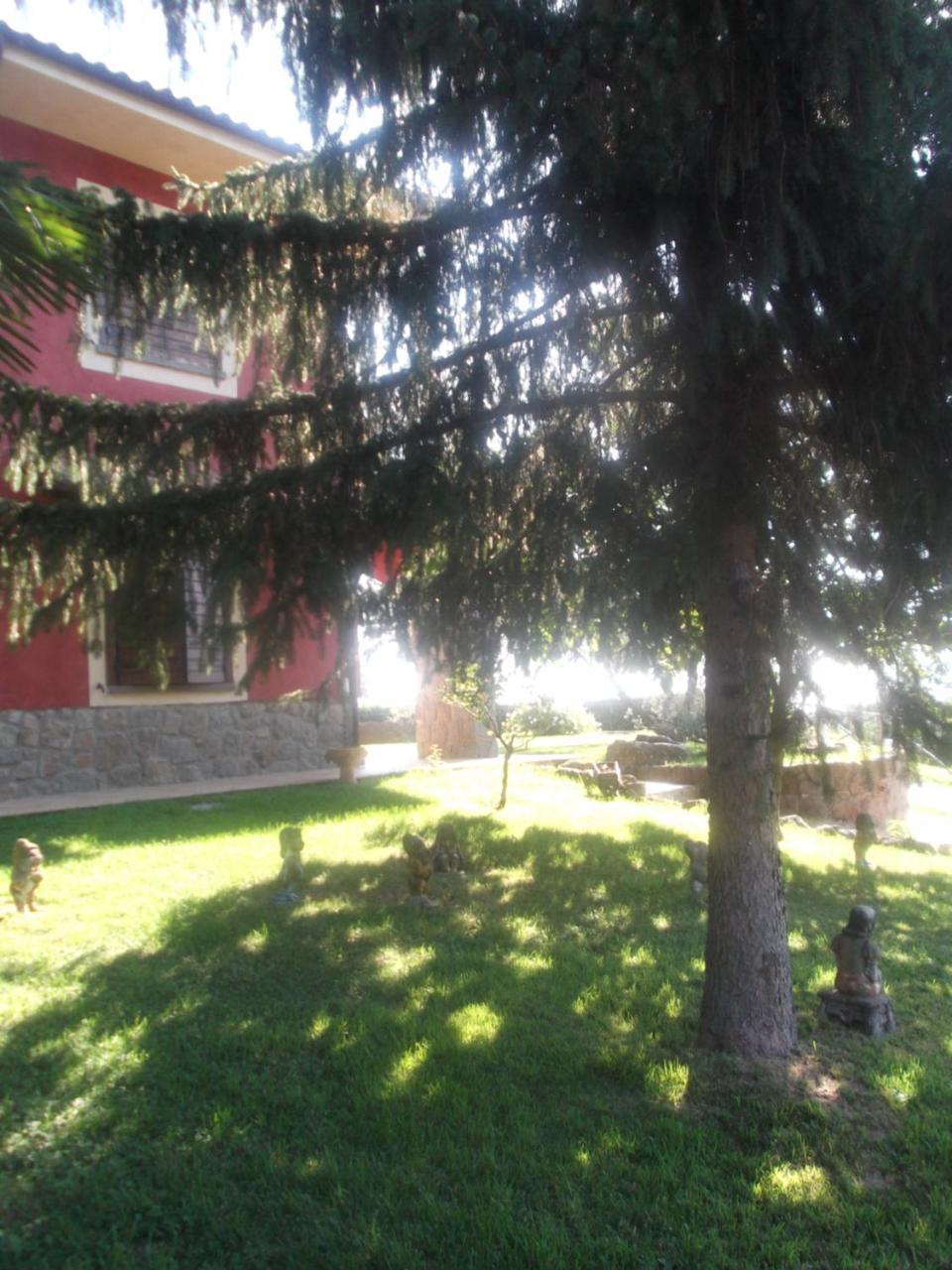 Agriturismo Casal Grande Canepina Exterior foto